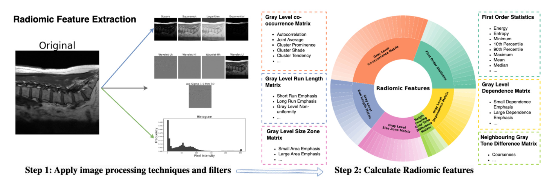 Radiomic feature extraction taxonomy
